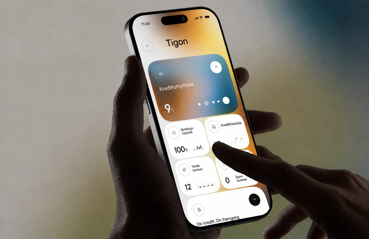 Tigon-konsept for en mobilapp med kredittoversikt