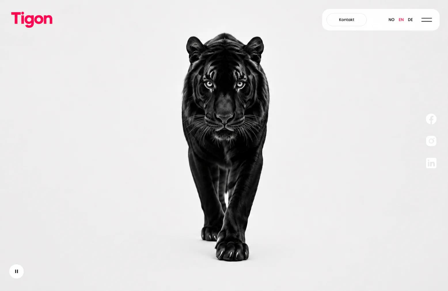 Minimalistisk Tigon-nettside med en svart tiger